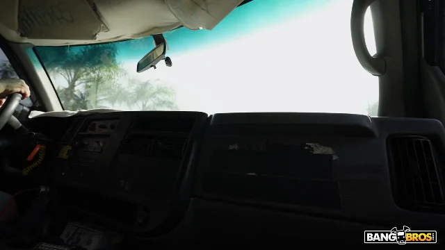 Preview of BangBus Ravyn Alexa XXX